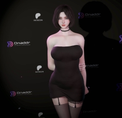 免费Dnaddr.Lumi_v1_P_25_6_9.1